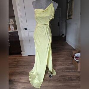 For Love And Lemons Dress